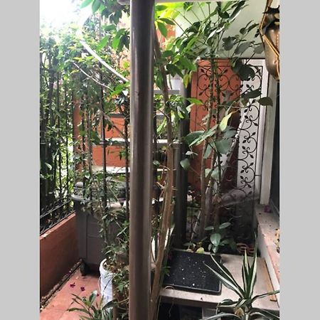 Amplia Habitacion Tipo Ejecutiva Con Bano Y Acceso Privados Toluca Kültér fotó