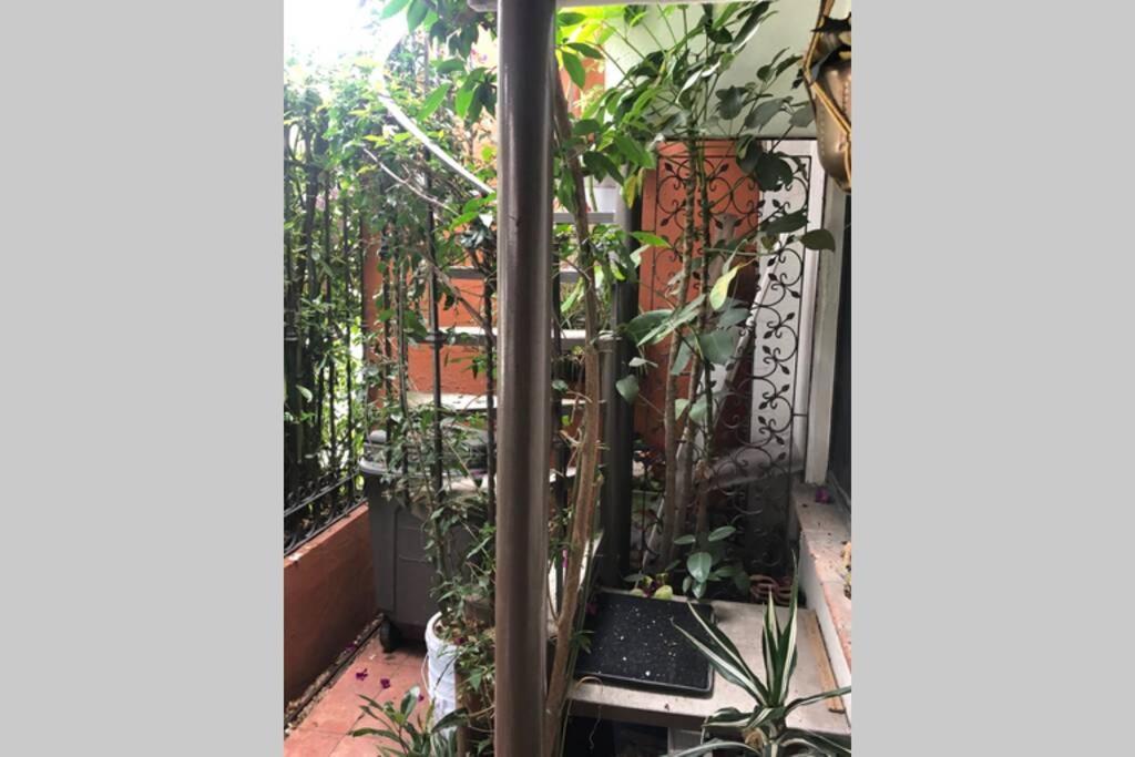 Amplia Habitacion Tipo Ejecutiva Con Bano Y Acceso Privados Toluca Kültér fotó